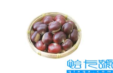 鲜板栗怎么保存不坏不招虫子(生板栗怎么保存时间最长)