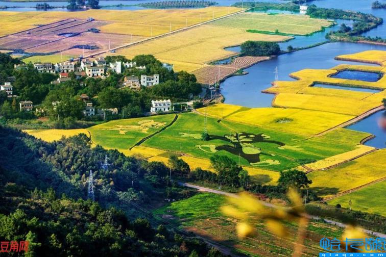 芜湖是什么梗(芜湖起飞是什么梗)