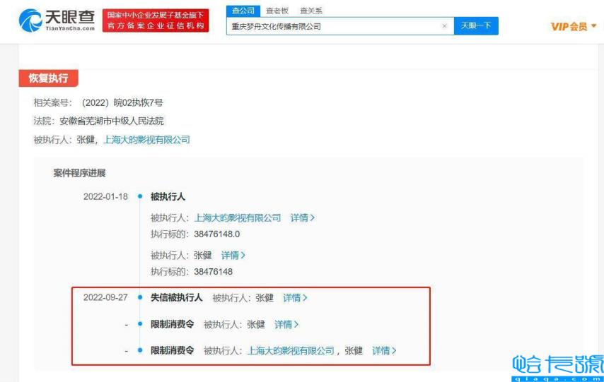 张若昀的父亲张健因拒绝履行生效法律文书而被限制高消费。