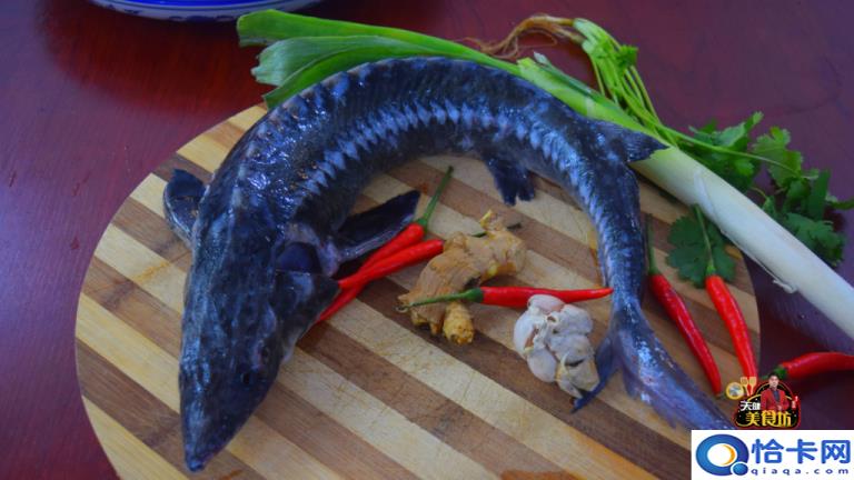 鲟鱼怎么做好吃(手把手教你鲟鱼的制作方法)