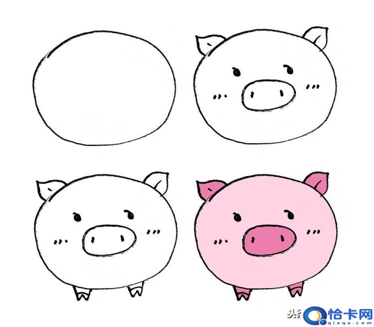 猪怎么画(猪的简笔画教程)
