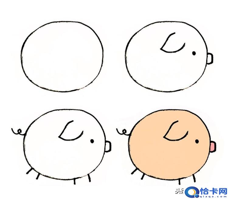 猪怎么画(猪的简笔画教程)