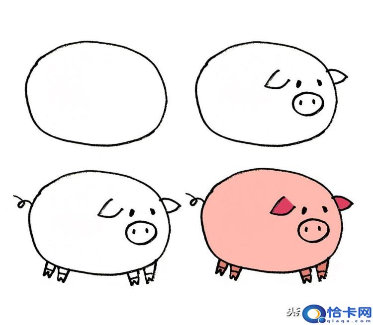 猪怎么画(猪的简笔画教程)