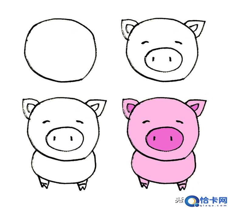 猪怎么画(猪的简笔画教程)