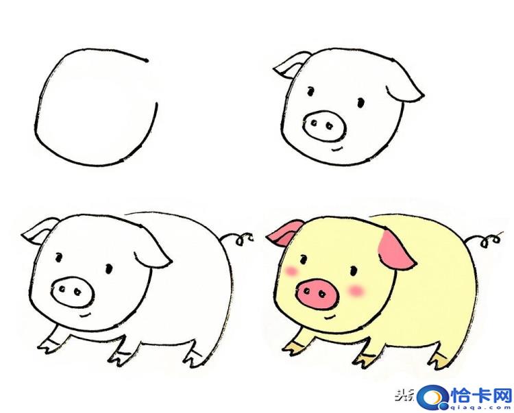 猪怎么画(猪的简笔画教程)