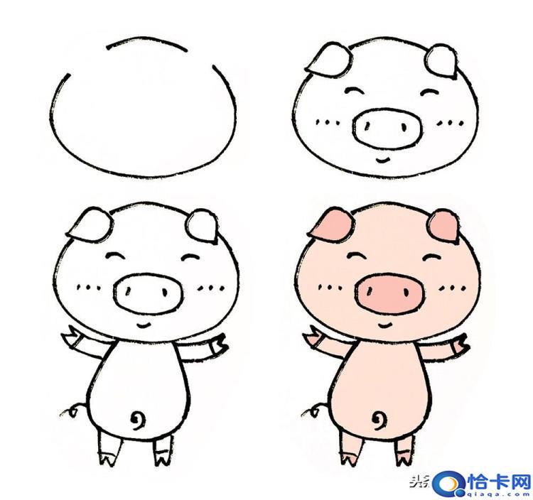 猪怎么画(猪的简笔画教程)