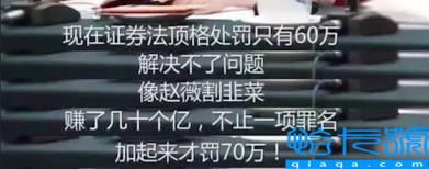 赵薇亲日辱华只是冰山一角(赵薇背后的故事)