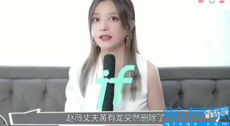 赵薇亲日辱华只是冰山一角(赵薇背后的故事)