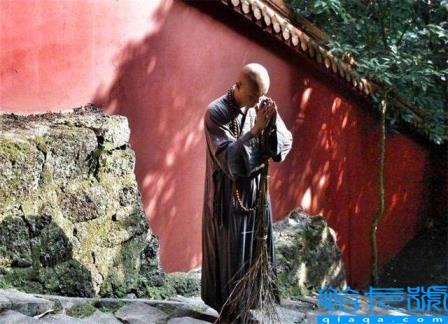 乐嘉回应强吻谢娜事件(乐嘉老婆李雪)