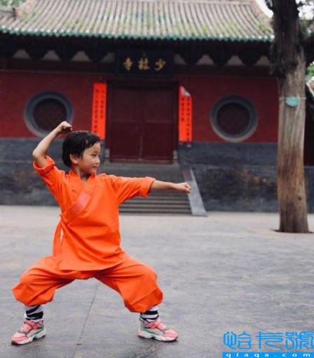 乐嘉回应强吻谢娜事件(乐嘉老婆李雪)