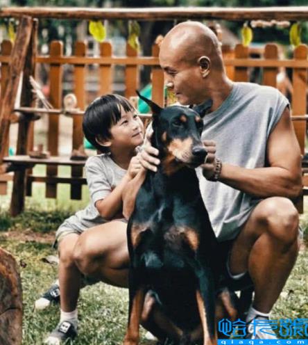 乐嘉回应强吻谢娜事件(乐嘉老婆李雪)