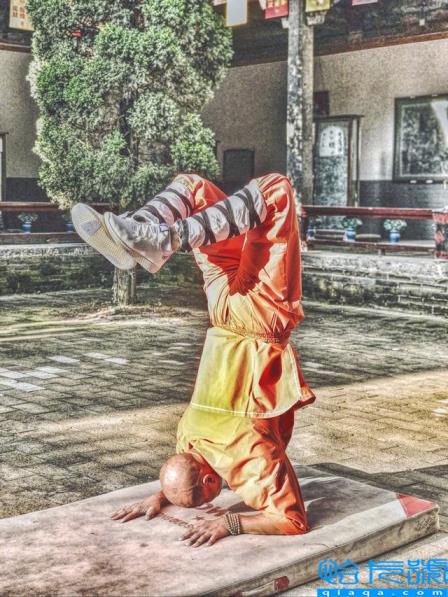 乐嘉回应强吻谢娜事件(乐嘉老婆李雪)