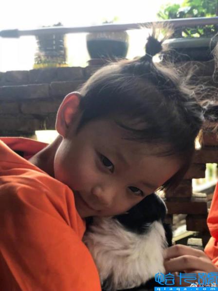 乐嘉回应强吻谢娜事件(乐嘉老婆李雪)