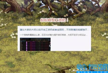 DNF智力宠物宝珠引争议奶系职业纷纷***(dnf智力宝珠大全拍卖行)