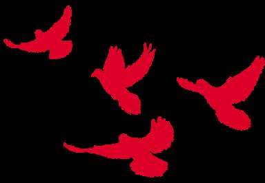 入党时间从什么时候开始算党龄怎么算（预备党员转正时间从什么时候算起）