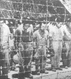 日本投降是1945年的几月几号在南京举行（日本投降是哪一年哪一天）