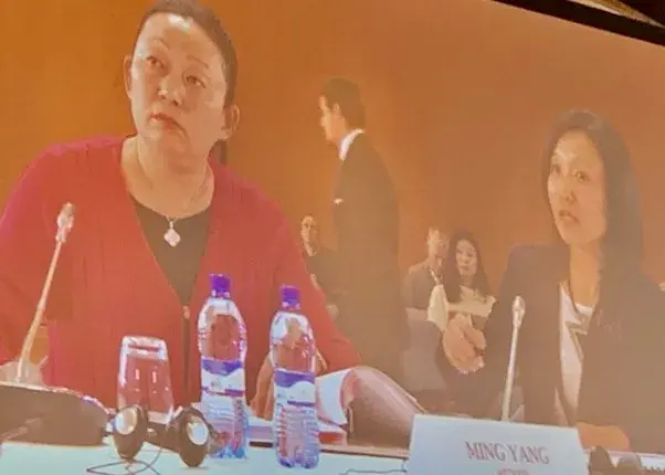 孙杨私生子有儿子吗（孙杨事件中其母亲的行为）