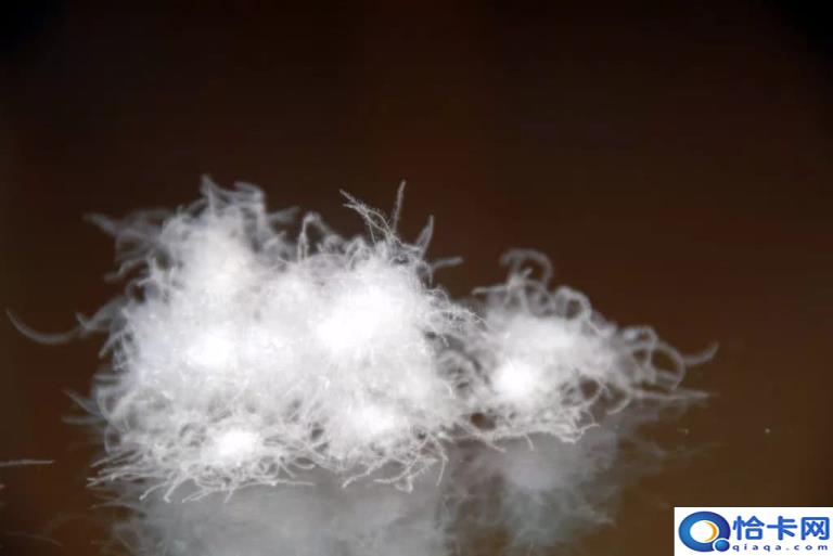 什么是干洗(干洗的原理和作用)