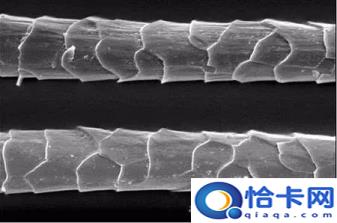 什么是干洗(干洗的原理和作用)