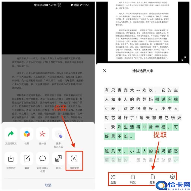 怎么提取图片上的文字(快速提取图片文字的方法)