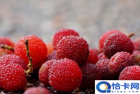 杨梅酒怎么泡(杨梅酒的制作及功效)