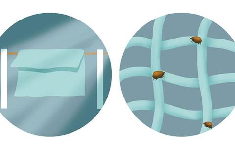 螨虫怎么去除最有效方法(螨虫叮咬后的症状图)