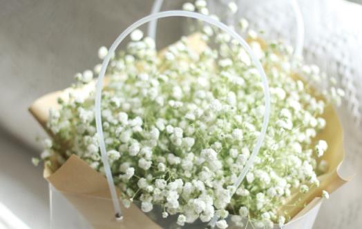 满天星的花语是什么，满天星的寓意和传说是什么