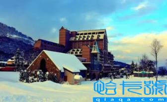 北海道12月下雪了吗(12月去北海道天气如何)