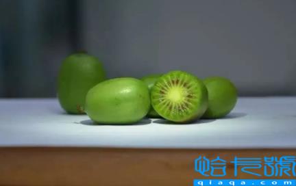 奇异莓孕妇可以吃吗(孕妇吃奇异莓对胎儿有什么好处)