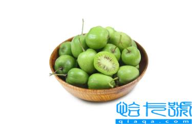 奇异莓是转基因水果吗(奇异莓是杂交品种吗)