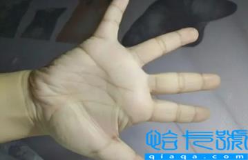 女人手胖有福还是手瘦有福(女人手胖有啥说法没)