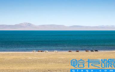 12月份西藏下雪吗(​12月份的时候的西藏怎么样)