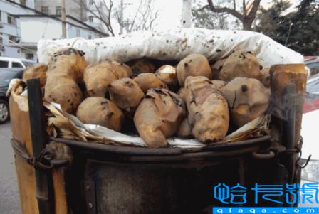 烤红薯外面的皮可以吃吗(烤红薯可以带皮一起吃吗)