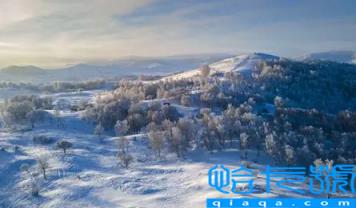 为什么今年12月份还这么热(什么时候真正冷起来)