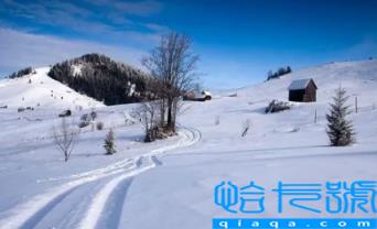 为什么今年12月份还这么热(什么时候真正冷起来)