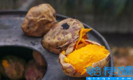 烤红薯用圆的好还是长的好(烤红薯用胖的好吃还是细长的好吃)