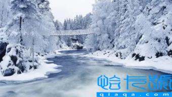 11月冷还是12月冷(冬天真正冷的时候是几月份)