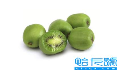 奇异莓的功效与作用及禁忌(奇异果的营养价值)