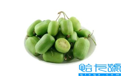 奇异莓的功效与作用及禁忌(奇异果的营养价值)