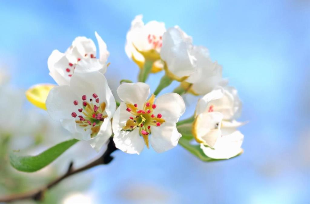 年纪越大越有魅力(最有女人味的星座)