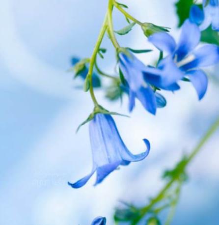 年纪越大越有魅力(最有女人味的星座)