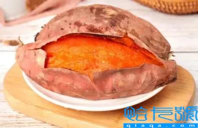 烤红薯用什么电器烤最好(家用烤红薯用什么设备烤最好)