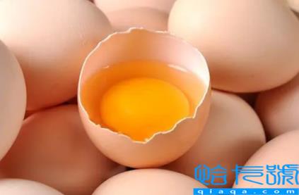 土鸡蛋的蛋黄越黄越好吗(土鸡蛋的蛋黄颜色越深越好吗)
