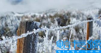 2022年11月有大寒潮吗(今年寒潮估计什么时候会来)