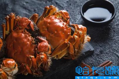 6两的大闸蟹有多大(六两大闸蟹大概多重)