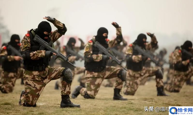 中国雷霆特种部队图片