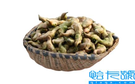 新鲜菱角怎么保存不会坏(新鲜菱角怎么存放比较好)