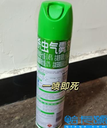 跳蚤粉可以杀死蟑螂吗(跳蚤粉可以兑水喷洒吗)