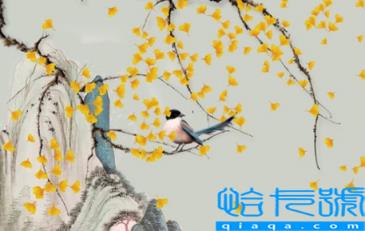 西户玄关画挂竹子合适吗(西户玄关画挂什么图最好)