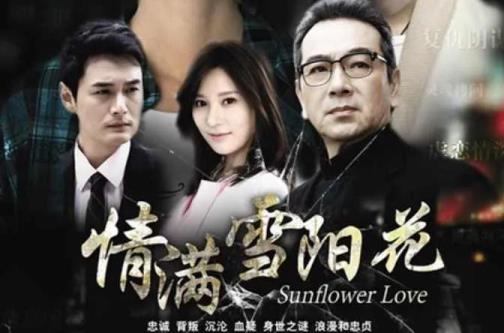 叶明珠是什么电视剧里面的(叶明珠是什么电视剧)